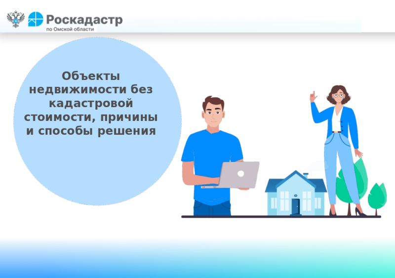 Объекты недвижимости без кадастровой стоимости, причины и способы решения.
